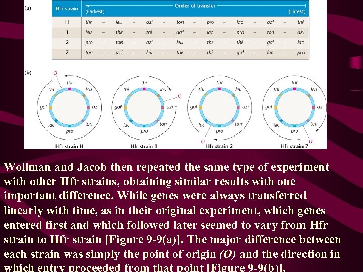 Wollman and Jacob then repeated the same type of experiment with other Hfr strains,