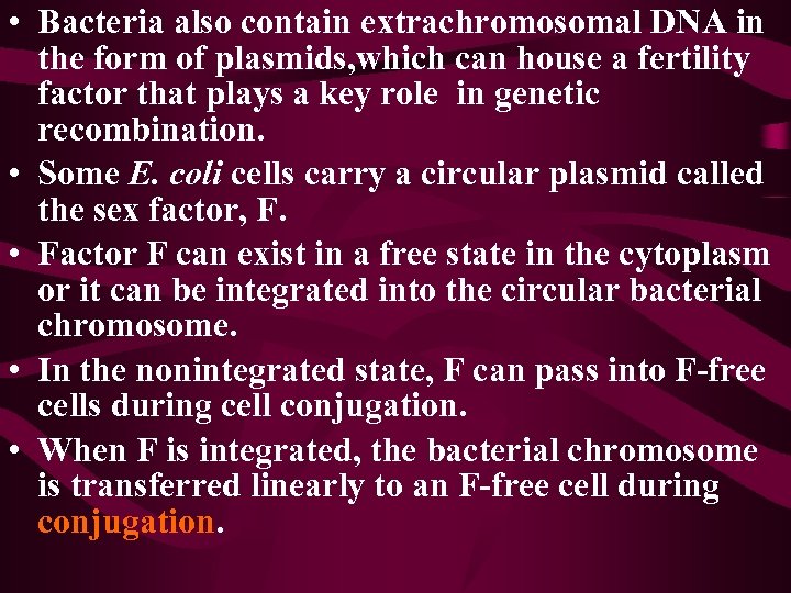  • Bacteria also contain extrachromosomal DNA in the form of plasmids, which can