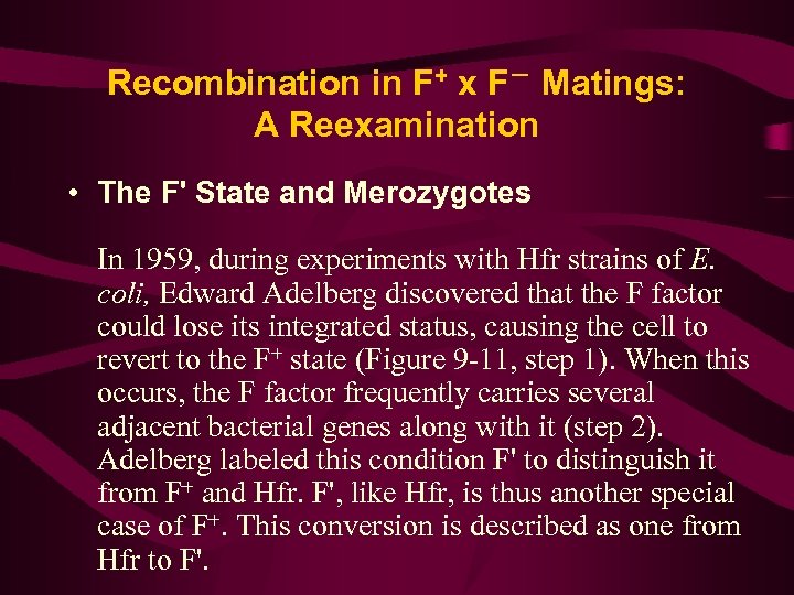 Recombination in F+ x F－ Matings: A Reexamination • The F' State and Merozygotes