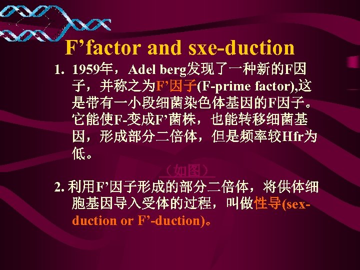 F’factor and sxe-duction 1. 1959年，Adel berg发现了一种新的F因 子，并称之为F’因子(F-prime factor), 这 是带有一小段细菌染色体基因的F因子。 它能使F-变成F’菌株，也能转移细菌基 因，形成部分二倍体，但是频率较Hfr为 低。 （如图）