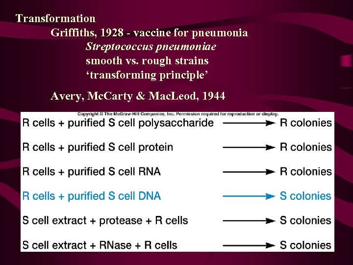 Transformation Griffiths, 1928 - vaccine for pneumonia Streptococcus pneumoniae smooth vs. rough strains ‘transforming