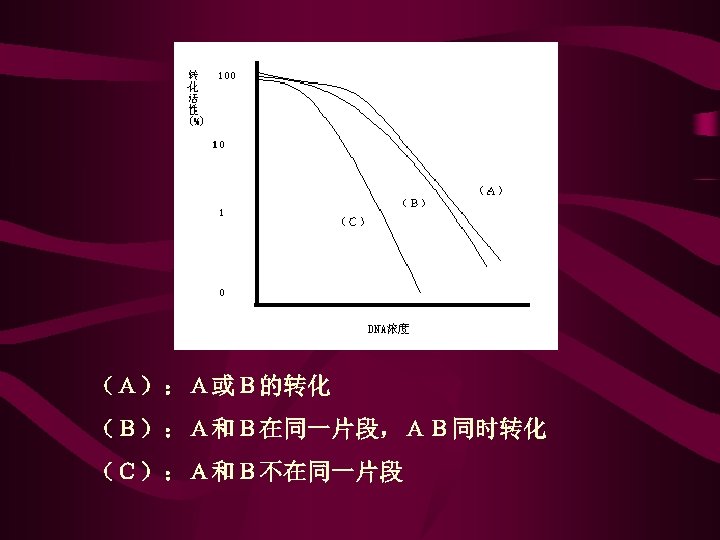 （Ａ）：Ａ或Ｂ的转化 （Ｂ）：Ａ和Ｂ在同一片段，ＡＢ同时转化 （Ｃ）：Ａ和Ｂ不在同一片段 