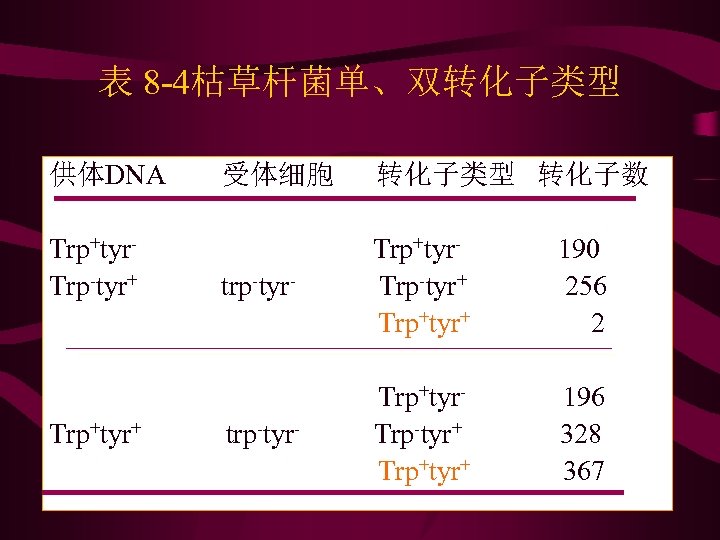 表 8 -4枯草杆菌单、双转化子类型 供体DNA Trp+tyr. Trp-tyr+ Trp+tyr+ 受体细胞 转化子类型 转化子数 trp-tyr- Trp+tyr. Trp-tyr+ Trp+tyr+