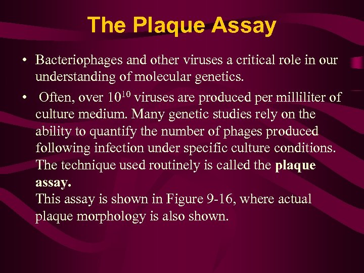 The Plaque Assay • Bacteriophages and other viruses a critical role in our understanding