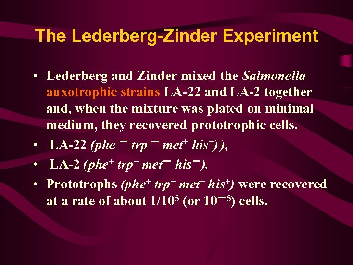The Lederberg-Zinder Experiment • Lederberg and Zinder mixed the Salmonella auxotrophic strains LA-22 and