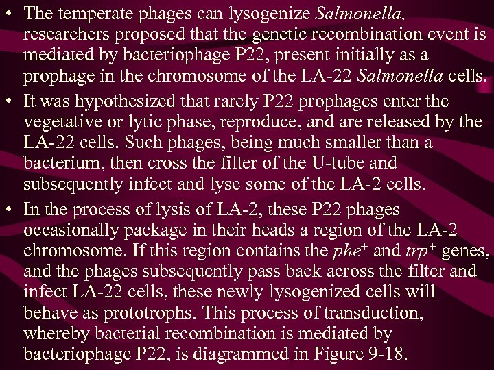  • The temperate phages can lysogenize Salmonella, researchers proposed that the genetic recombination