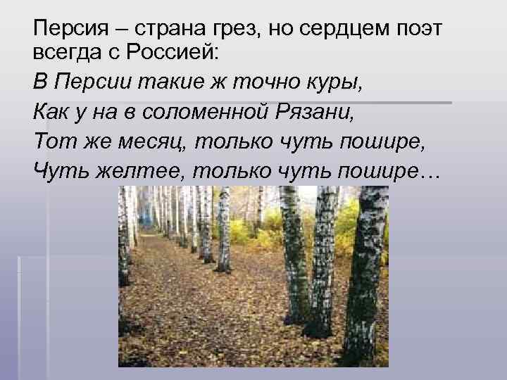 Персия – страна грез, но сердцем поэт всегда с Россией: В Персии такие ж