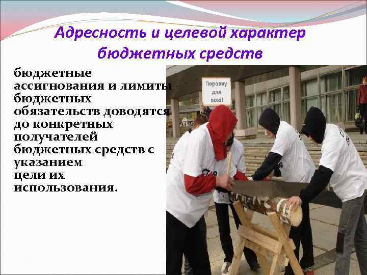Адресность и целевой характер бюджетных средств бюджетные ассигнования и лимиты бюджетных обязательств доводятся до