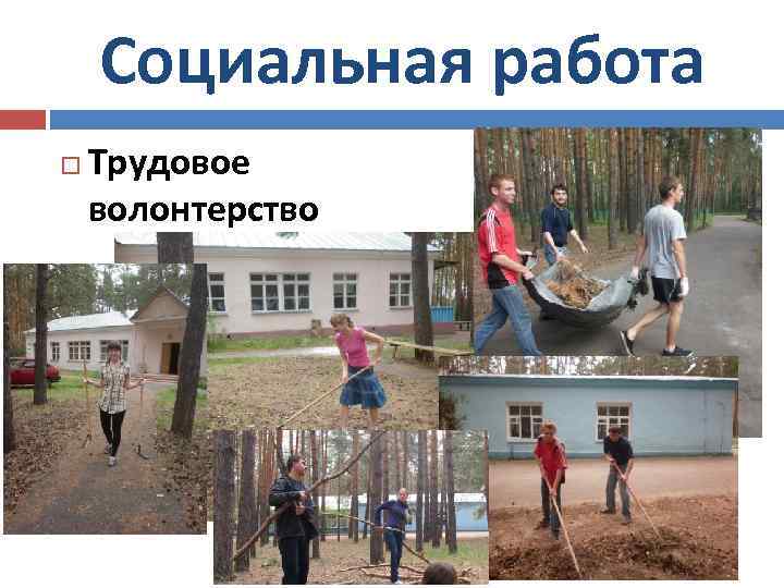 Социальная работа Трудовое волонтерство 