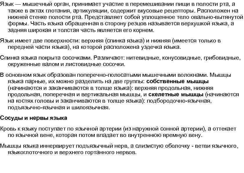 Язык — мышечный орган, принимает участие в перемешивании пищи в полости рта, а также