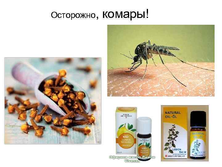 Осторожно, комары! 