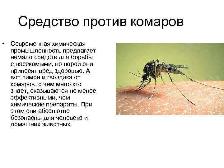 Средство против комаров • Современная химическая промышленность предлагает немало средств для борьбы с насекомыми,