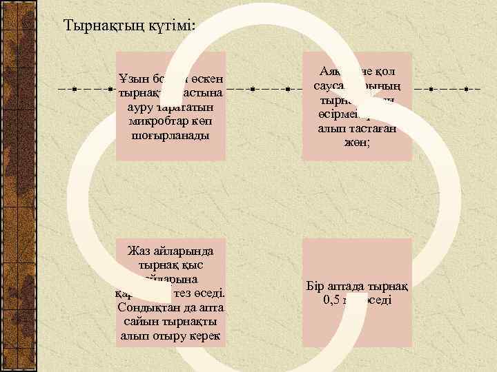 Тері аурулары және гигиенасы презентация