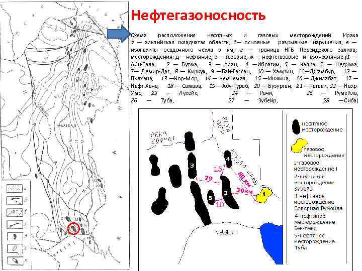 Нефтегазоносность Схема расположения нефтяных и газовых месторождений Ирака а — альпийская складчатая область; б—