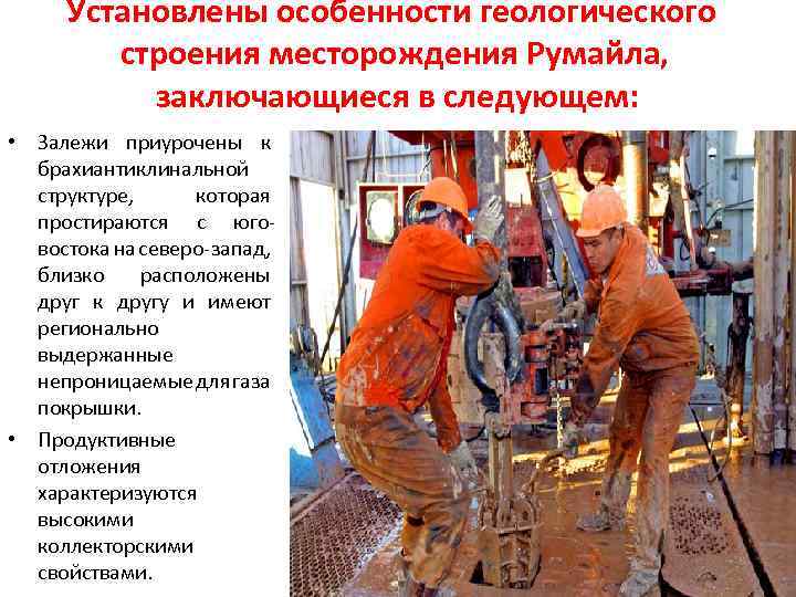 Установлены особенности геологического строения месторождения Румайла, заключающиеся в следующем: • Залежи приурочены к брахиантиклинальной