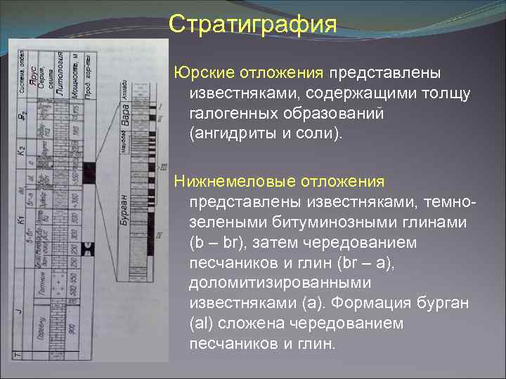Стратиграфия Юрские отложения представлены известняками, содержащими толщу галогенных образований (ангидриты и соли). Нижнемеловые отложения