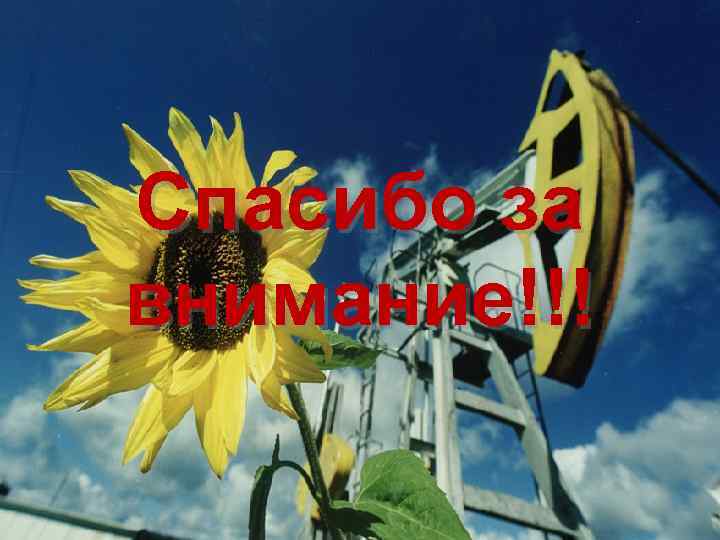 Спасибо за внимание!!! 