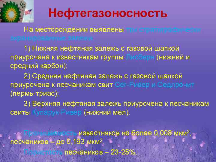 Нефтегазоносность На месторождении выявлены три стратиграфически экранированные залежи: 1) Нижняя нефтяная залежь с газовой
