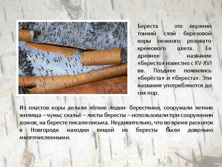 Береста - это верхний тонкий слой березовой коры нежного розоватокремового цвета. Ее древнее название