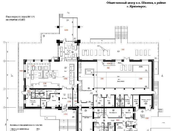 Общественный центр в п. Шамони, в районе г. Красноярск. 