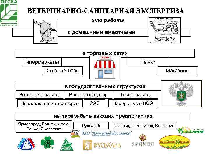 Ветеринарный контроль схема