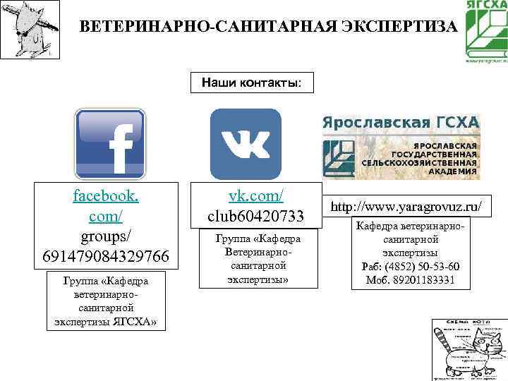 ВЕТЕРИНАРНО-САНИТАРНАЯ ЭКСПЕРТИЗА Наши контакты: facebook. com/ groups/ 691479084329766 Группа «Кафедра ветеринарносанитарной экспертизы ЯГСХА» vk.