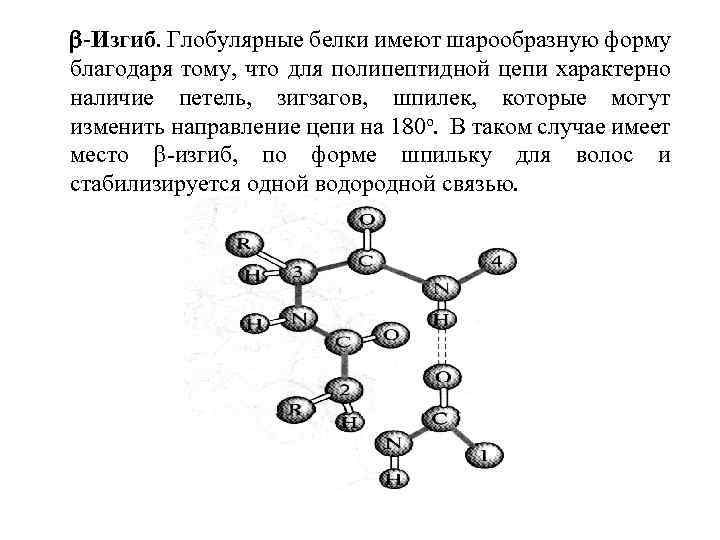 Для цепей характерно. Бета изгиб белка. 