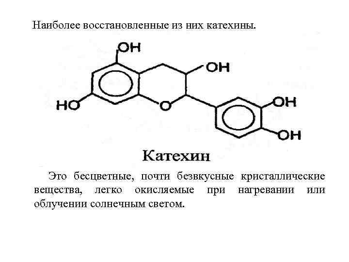 Вещество легких