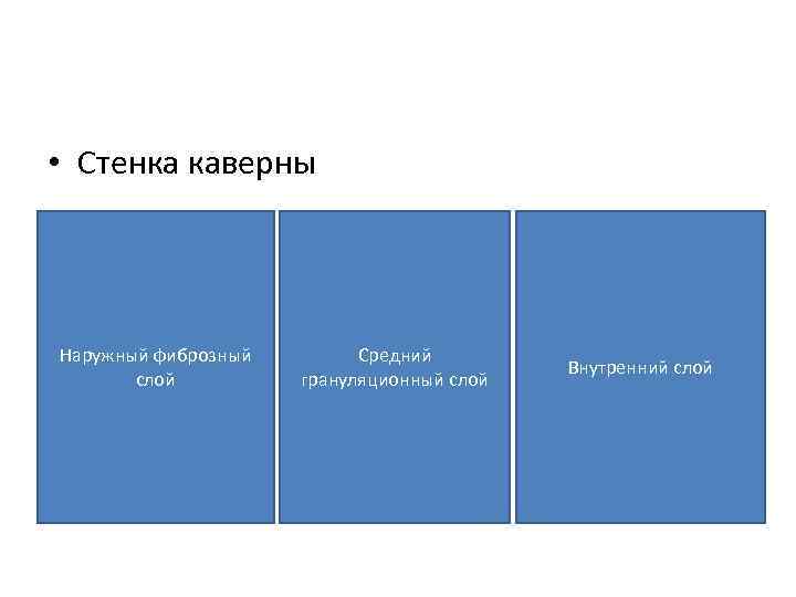  • Стенка каверны Наружный фиброзный слой Средний грануляционный слой Внутренний слой 