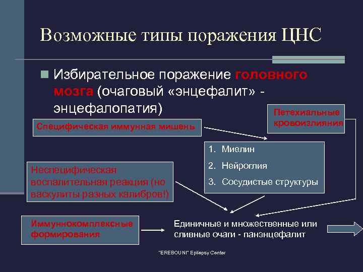 Возможные типы поражения ЦНС n Избирательное поражение головного мозга (очаговый «энцефалит» энцефалопатия) Специфическая иммунная