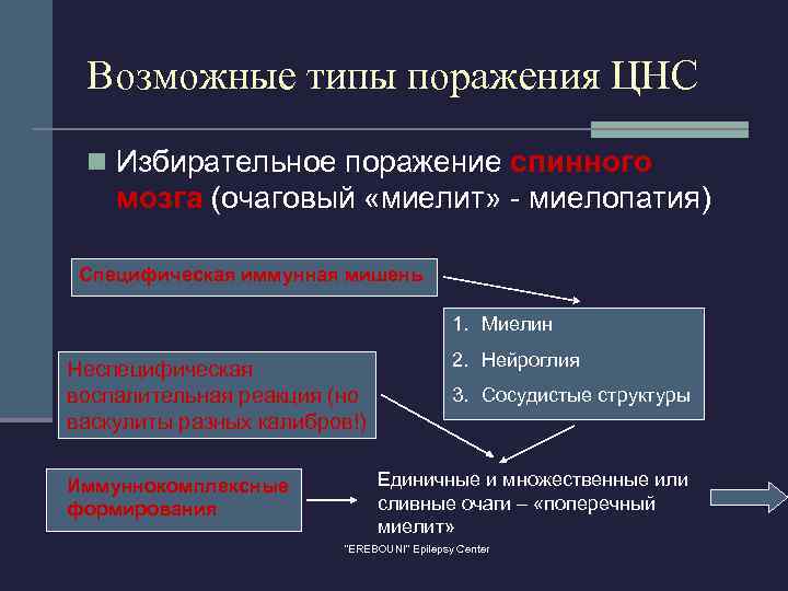 Возможные типы поражения ЦНС n Избирательное поражение спинного мозга (очаговый «миелит» - миелопатия) Специфическая