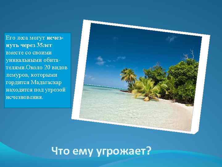 Его леса могут исчезнуть через 35 лет вместе со своими уникальными обитателями. Около 20