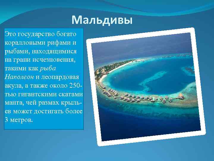 Мальдивы Это государство богато коралловыми рифами и рыбами, находящимися на грани исчезновения, такими как