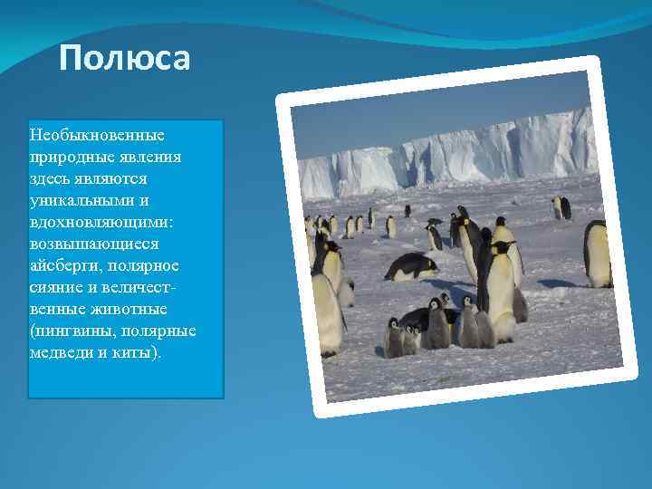 Полюса Необыкновенные природные явления здесь являются уникальными и вдохновляющими: возвышающиеся айсберги, полярное сияние и