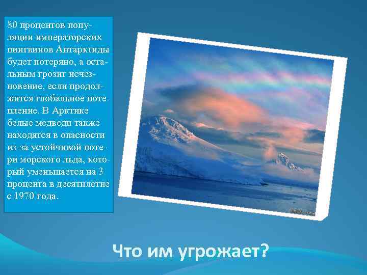 80 процентов популяции императорских пингвинов Антарктиды будет потеряно, а остальным грозит исчезновение, если продолжится