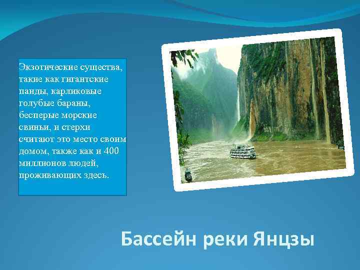 Экзотические существа, такие как гигантские панды, карликовые голубые бараны, бесперые морские свиньи, и стерхи