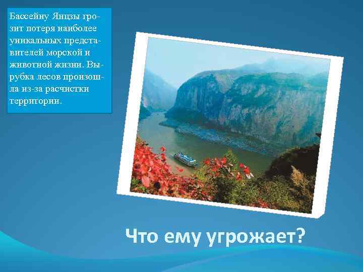 Бассейну Янцзы грозит потеря наиболее уникальных представителей морской и животной жизни. Вырубка лесов произошла