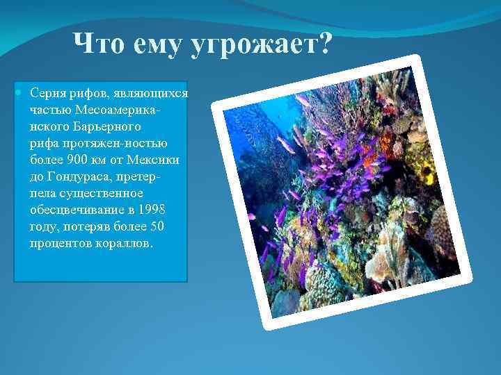 Что ему угрожает? Серия рифов, являющихся частью Месоамериканского Барьерного рифа протяжен-ностью более 900 км
