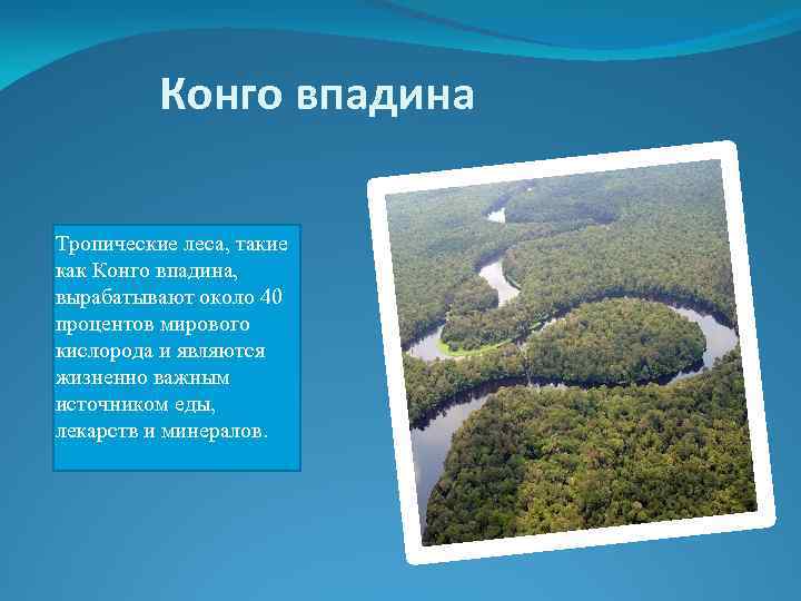 Конго впадина Тропические леса, такие как Конго впадина, вырабатывают около 40 процентов мирового кислорода