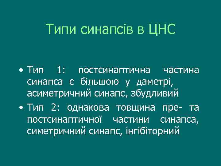 Типи синапсів в ЦНС • Тип 1: постсинаптична частина синапса є більшою у даметрі,