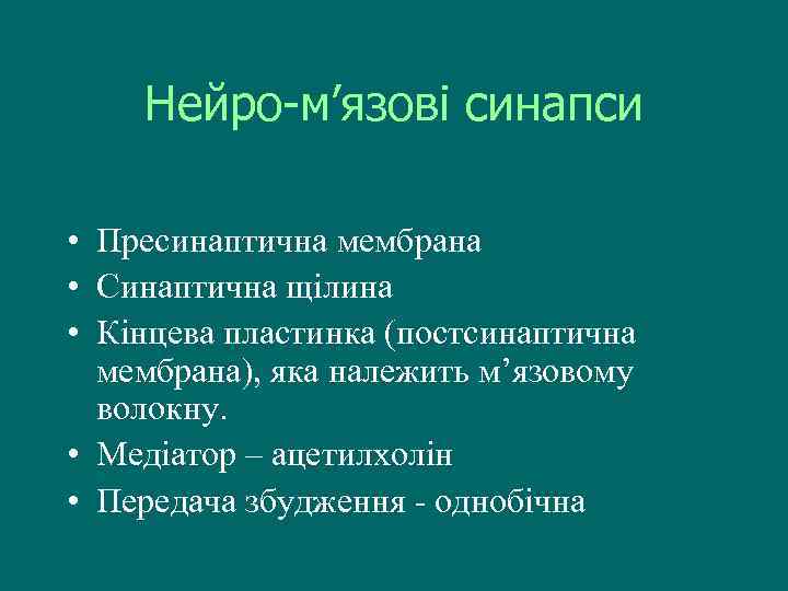 Нейро-м’язові синапси • Пресинаптична мембрана • Синаптична щілина • Кінцева пластинка (постсинаптична мембрана), яка