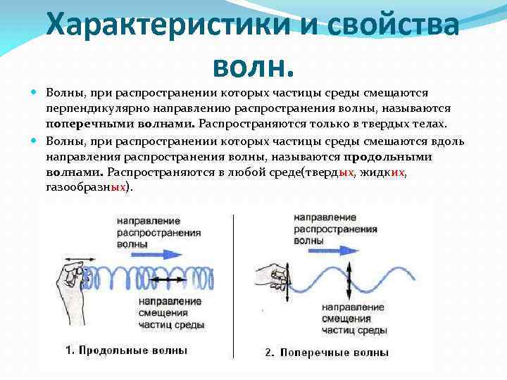 Характеристики и свойства волн. Волны, при распространении которых частицы среды смещаются перпендикулярно направлению распространения