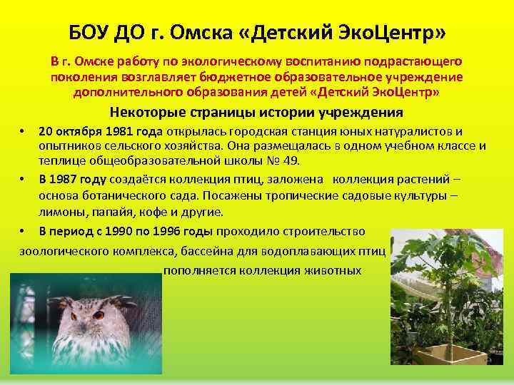 БОУ ДО г. Омска «Детский Эко. Центр» В г. Омске работу по экологическому воспитанию