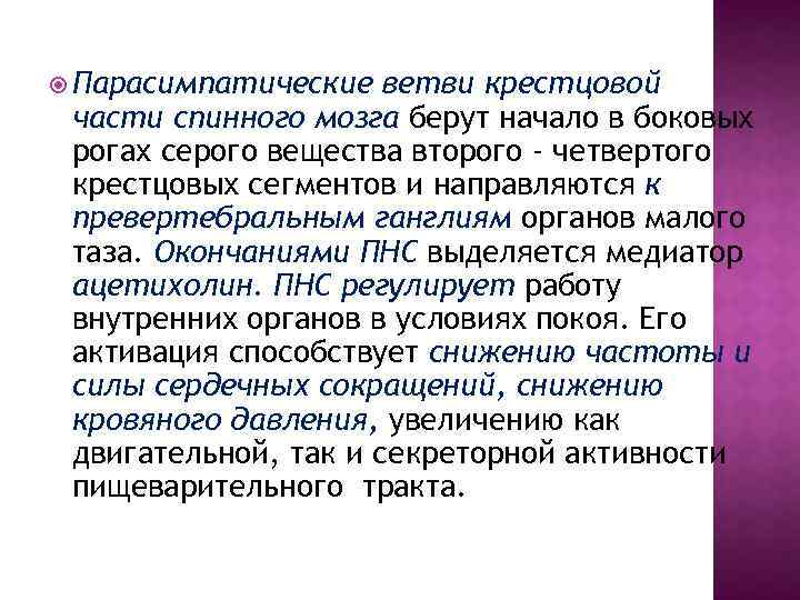  Парасимпатические ветви крестцовой части спинного мозга берут начало в боковых рогах серого вещества