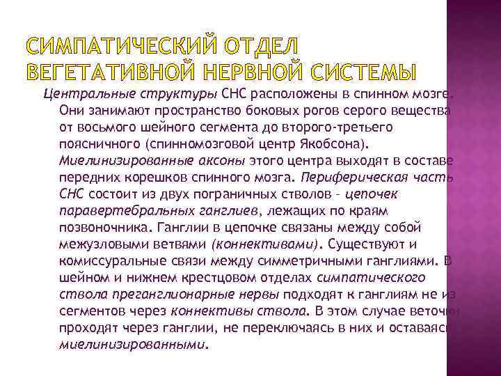 СИМПАТИЧЕСКИЙ ОТДЕЛ ВЕГЕТАТИВНОЙ НЕРВНОЙ СИСТЕМЫ Центральные структуры СНС расположены в спинном мозге. Они занимают