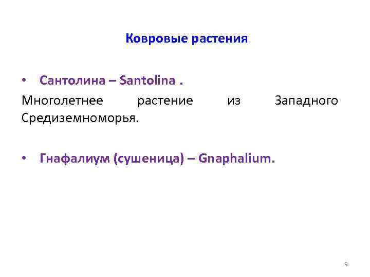 Ковровые растения • Сантолина – Santolina. Многолетнее растение Средиземноморья. из Западного • Гнафалиум (сушеница)