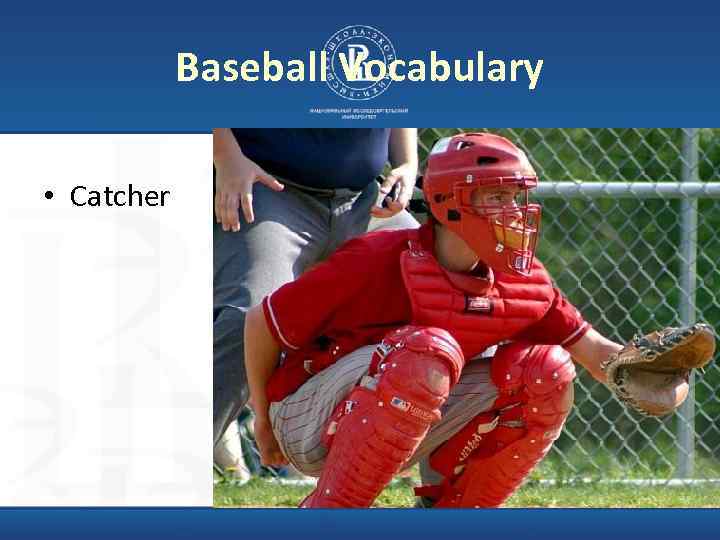 Baseball Vocabulary • Catcher 