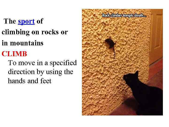  The sport of climbing on rocks or in mountains CLIMB To move in