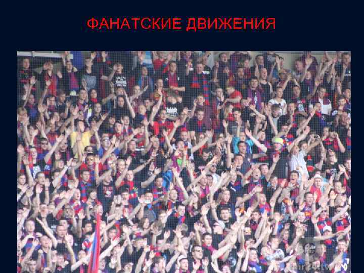 ФАНАТСКИЕ ДВИЖЕНИЯ 