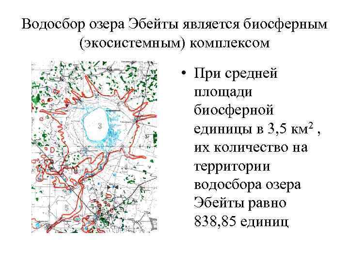 Водосбор озера Эбейты является биосферным (экосистемным) комплексом • При средней площади биосферной единицы в